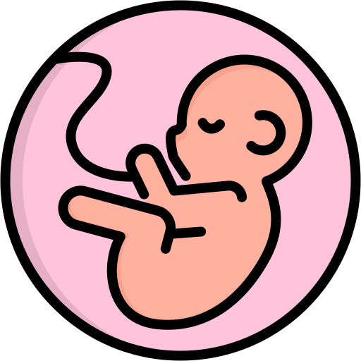 Obstetrics & High-Risk Pregnancy Care